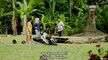 Cik Reen Encik Ngok Ngek 08